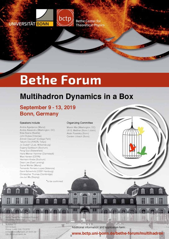 Poster_Multihadron_klein.pdf